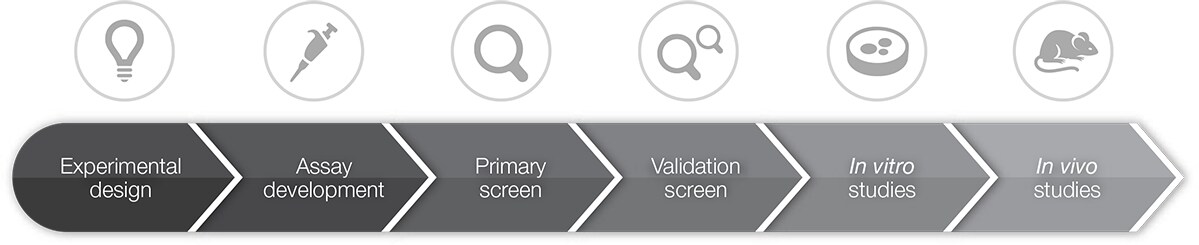 functional genomics screening workflow functional genomics screening workflow
