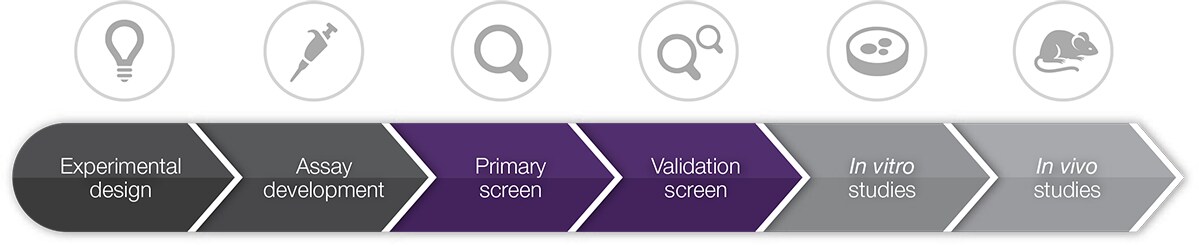 functional genomics screening workflow functional genomics screening workflow