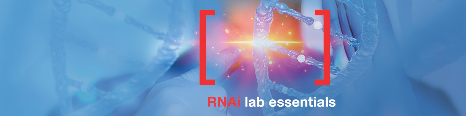 RNA干扰技术 RNA干扰技术