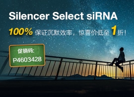 Silencer Select siRNAs from Ambion Silencer Select siRNAs from Ambion