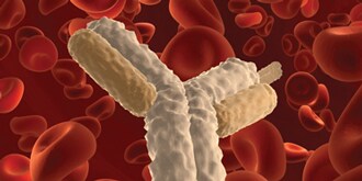 1601664298336 1601664298336