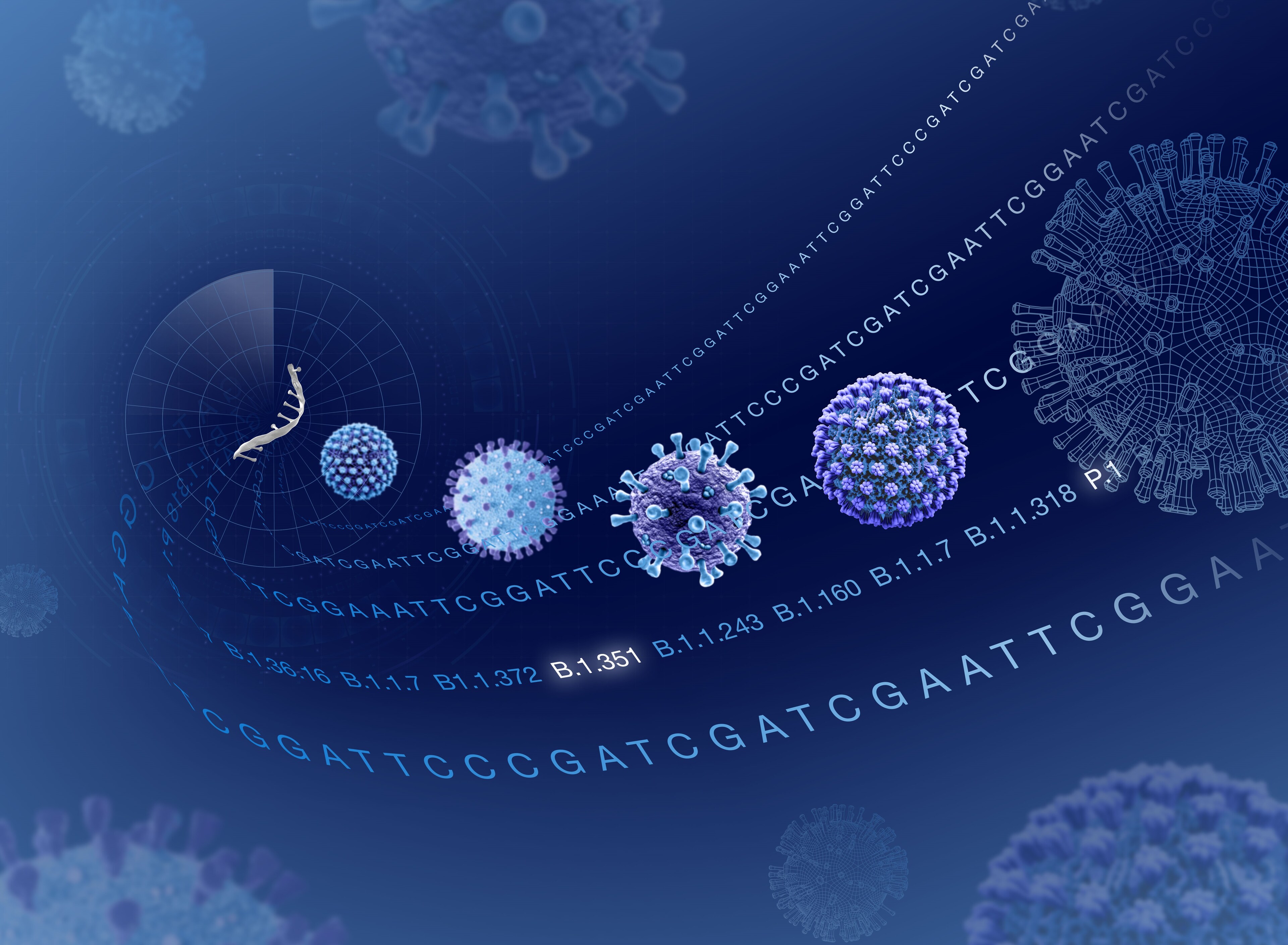 Ion AmpliSeq SARS-CoV-2 Insight Research Assay Coronavirus