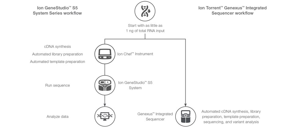 Targeted NGS workflow for the Ion AmpliSeq SARS-CoV-2 Insight Research Assay Targeted NGS workflow for the Ion AmpliSeq SARS-CoV-2 Insight Research Assay