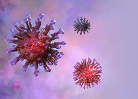 shutterstock_1624415920-(1) shutterstock_1624415920-(1)