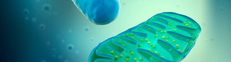 ion-torrent.par.93914.image.-1.0.1 ion-torrent.par.93914.image.-1.0.1