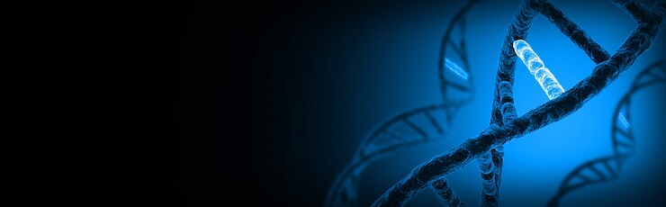 ion-torrent.par.32350.image.-1.0.1 ion-torrent.par.32350.image.-1.0.1