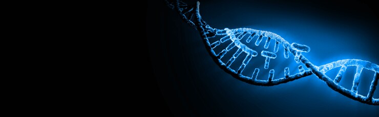 ion-torrent.par.23490.image.-1.0.1 ion-torrent.par.23490.image.-1.0.1