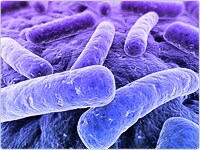 showcase.par.45838.image.200.150.1.aflp showcase.par.45838.image.200.150.1.aflp