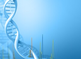 Fragment-analysis-applications Fragment-analysis-applications