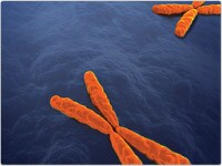 showcase.par.36265.image.200.150.1.rfq showcase.par.36265.image.200.150.1.rfq