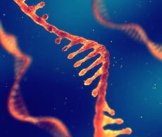 retain the entire coding transcriptome when using Collibri Stranded RNA Library Prep Kits for Illumina Systems retain the entire coding transcriptome when using Collibri Stranded RNA Library Prep Kits for Illumina Systems