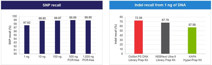 物理片段化 DNA 物理片段化 DNA