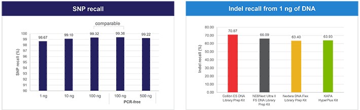 酶片段化 DNA 酶片段化 DNA
