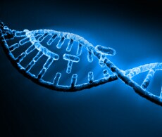 RNA 测序 RNA 测序