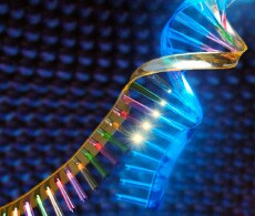 sho-microrna sho-microrna