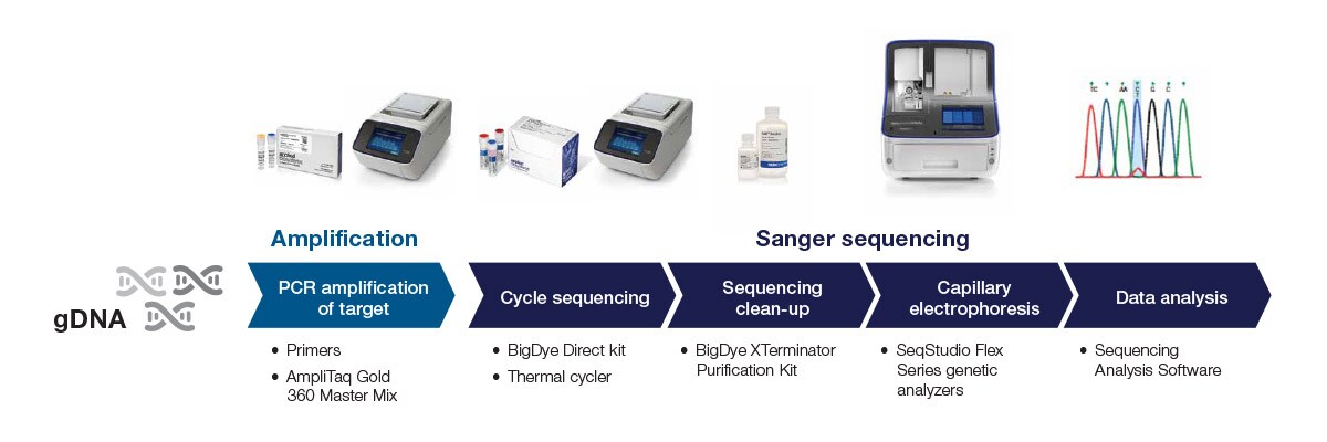 EXT5867-Fig-4-Protocol-Workflow-KRAS EXT5867-Fig-4-Protocol-Workflow-KRAS