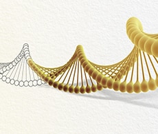 Sanger Sequencing Sanger Sequencing