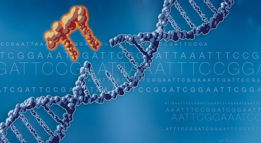 DNA helix with portion pulled out DNA helix with portion pulled out