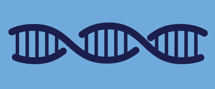 WE222724-Primer-Designer-Tool WE222724-Primer-Designer-Tool