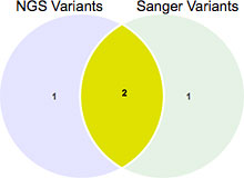 NGS与Sanger变异 NGS与Sanger变异