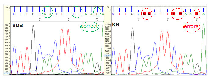两幅电泳峰图,显示碱基识别结果和质量值条,一幅为KB Basecaller,一幅为SDB Basecaller 两幅电泳峰图,显示碱基识别结果和质量值条,一幅为KB Basecaller,一幅为SDB Basecaller
