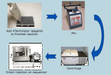 showcase.par.93396.image.sample-cleanup-big-dye-xterm-large showcase.par.93396.image.sample-cleanup-big-dye-xterm-large