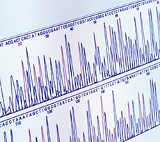 dc3.1-showcase dc3.1-showcase