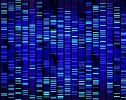 dna-bars-250x200 dna-bars-250x200