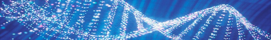 Pg1_header_opt1 Pg1_header_opt1