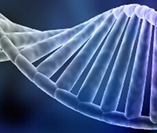 sho-education-microarray sho-education-microarray