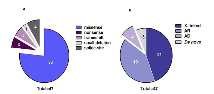 Figure-for-Multigenic-condition-section Figure-for-Multigenic-condition-section