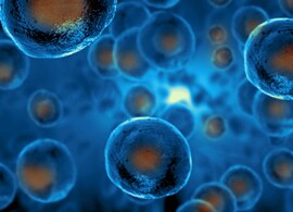 胚胎干细胞 胚胎干细胞