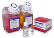 胚胎干细胞 (ESC) 胚胎干细胞 (ESC)