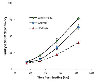 Optimum recovery of PSCs during transition to Gibco Essential 8 Medium in the absence of small molecule inhibitors Optimum recovery of PSCs during transition to Gibco Essential 8 Medium in the absence of small molecule inhibitors