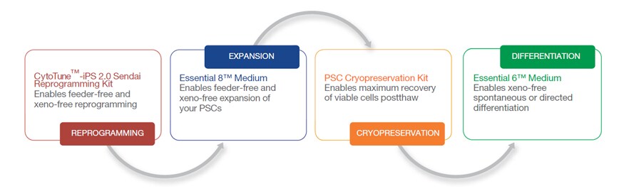 Essential 8 Media System Essential 8 Media System