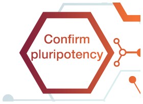 PrimeView PluriTest PrimeView PluriTest