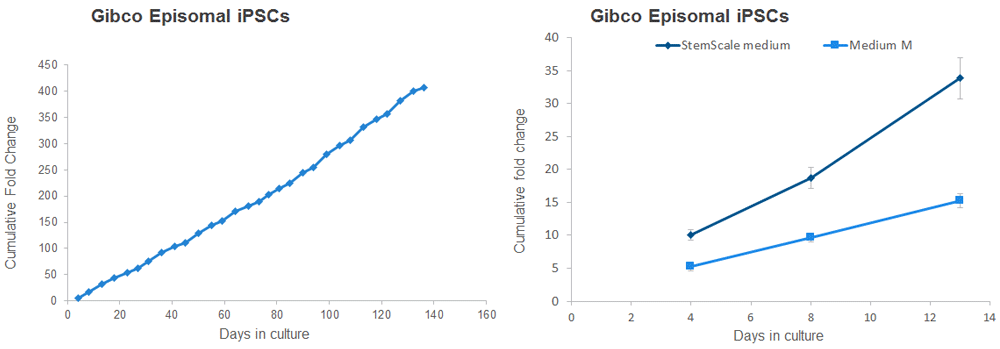 Scaling expansion using StemScale Medium Scaling expansion using StemScale Medium