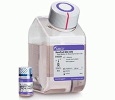 人间充质干细胞无血清培养基 人间充质干细胞无血清培养基