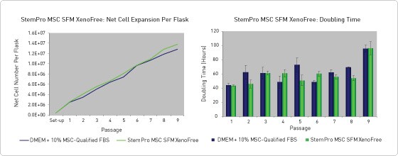 在MSC无血清培养基中扩增 MSC 在MSC无血清培养基中扩增 MSC