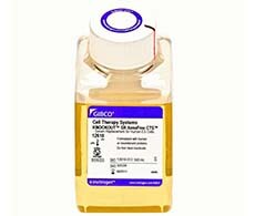 CTS KnockOut SR XenoFree 培养基 CTS KnockOut SR XenoFree 培养基