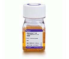KnockOut血清替代物 KnockOut血清替代物