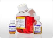 showcase.par.73307.image.0.0.1 StemPro hESC SFM