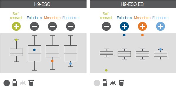TaqMan hPSC 评分卡检测结果 TaqMan hPSC 评分卡检测结果