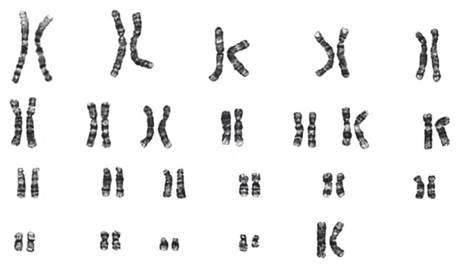 图6.3-psc-手册 图6.3-psc-手册