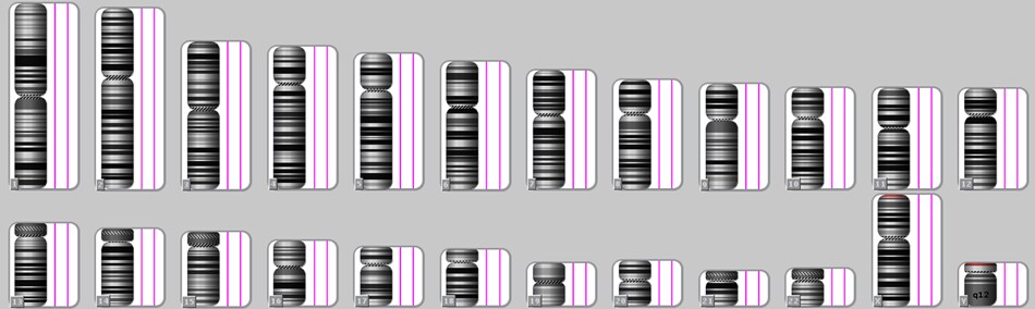 chromosomal detection chromosomal detection