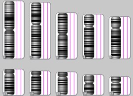 KaryoStat Karyotyping Service KaryoStat Karyotyping Service