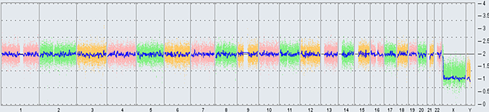 KaryoStat KaryoTyping Service whole genome view KaryoStat Karyotyping Service whole genome view chart indicating copy number status