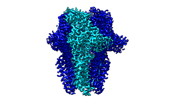 Integrative Structural Biology Integrative Structural Biology