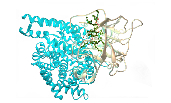 Structural Biology Structural Biology