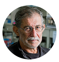 加速结构解析的解决方案 加速结构解析的解决方案